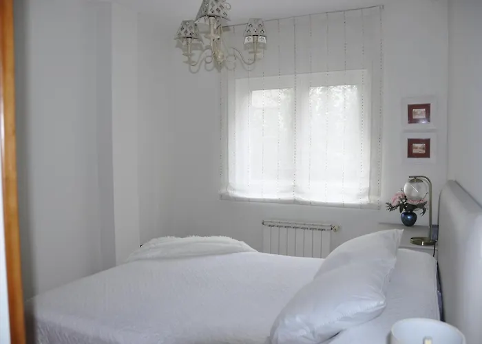 Santamaria Iv アパート ミヤドイロ